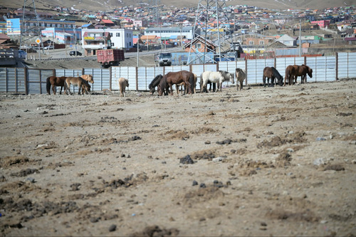 НИЙСЛЭЛИЙН ХОРИОТОЙ БҮСЭЭС МАЛ ГАРГАНА